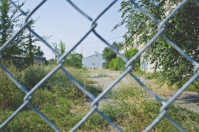 Products For Fence Wire Paintings in use